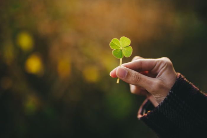 «Подкова на удачу»: талисманы, в магическую силу которых верят до сих пор амулет,денежная жаба,интересное,подкова,талисман, удача