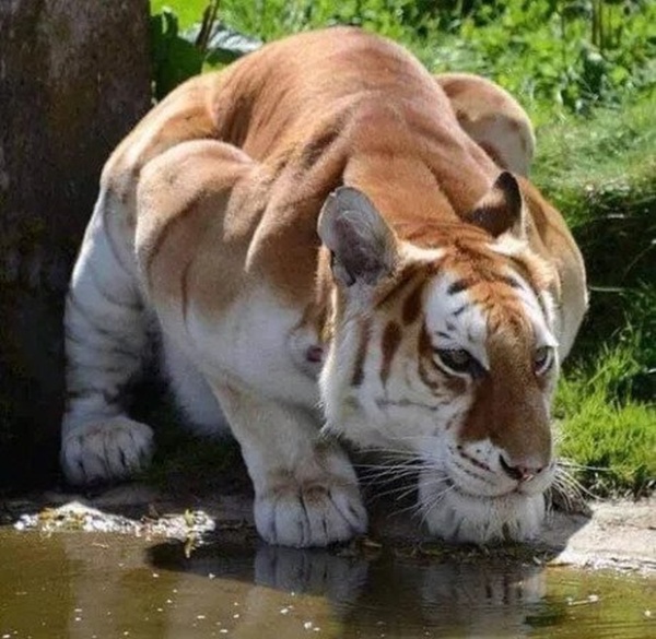 Подборка картинок с просторов интернета Подборка картинок с просторов интернета смешные картинки