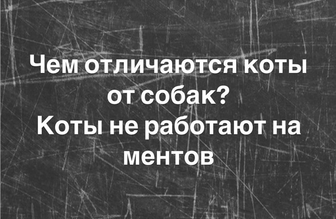 Свежие мемы, юмор за день 