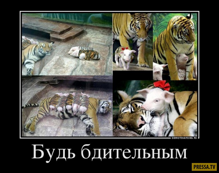 именно будь бдительным демотиваторы него
