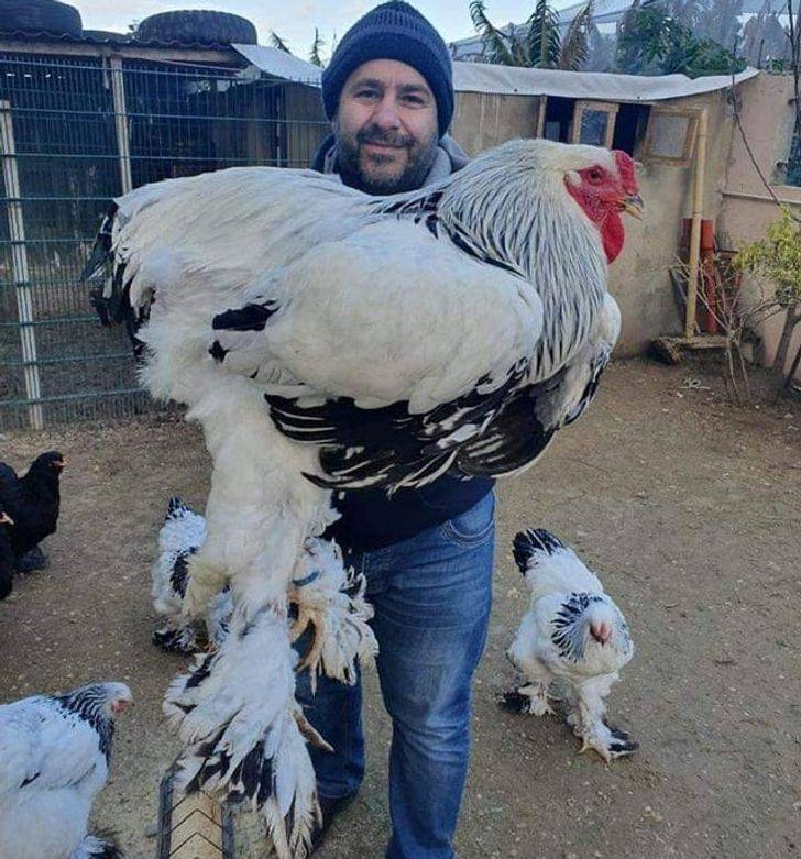 12 фото о том, что природа не стесняется своих размеров