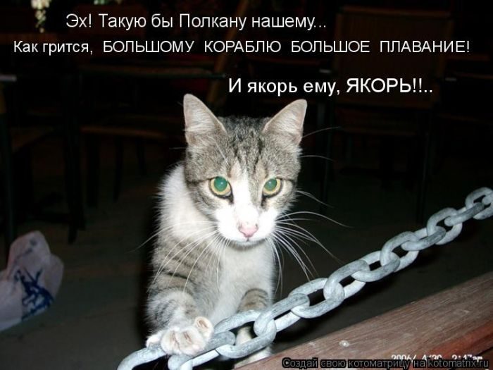 Лучшие котоматрицы за прошедшую неделю