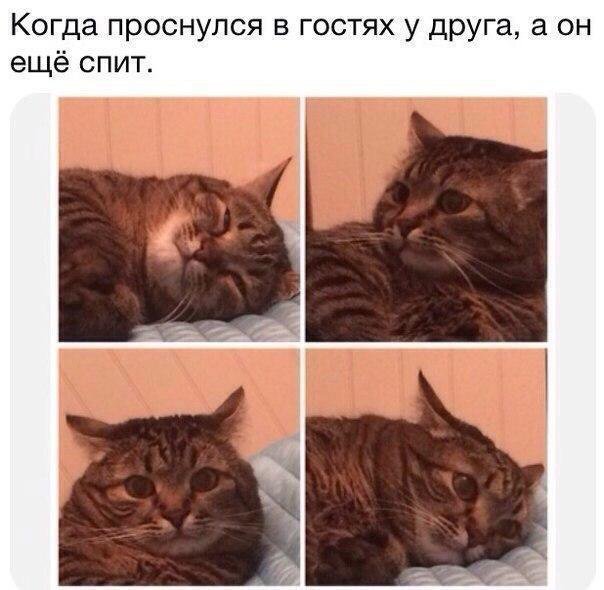 Фотоподборка четверга 