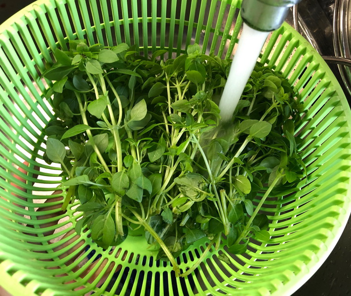 Итальянский соус с орехами. Универсален, но я люблю его, как намазку — идеально к свежему хлебу