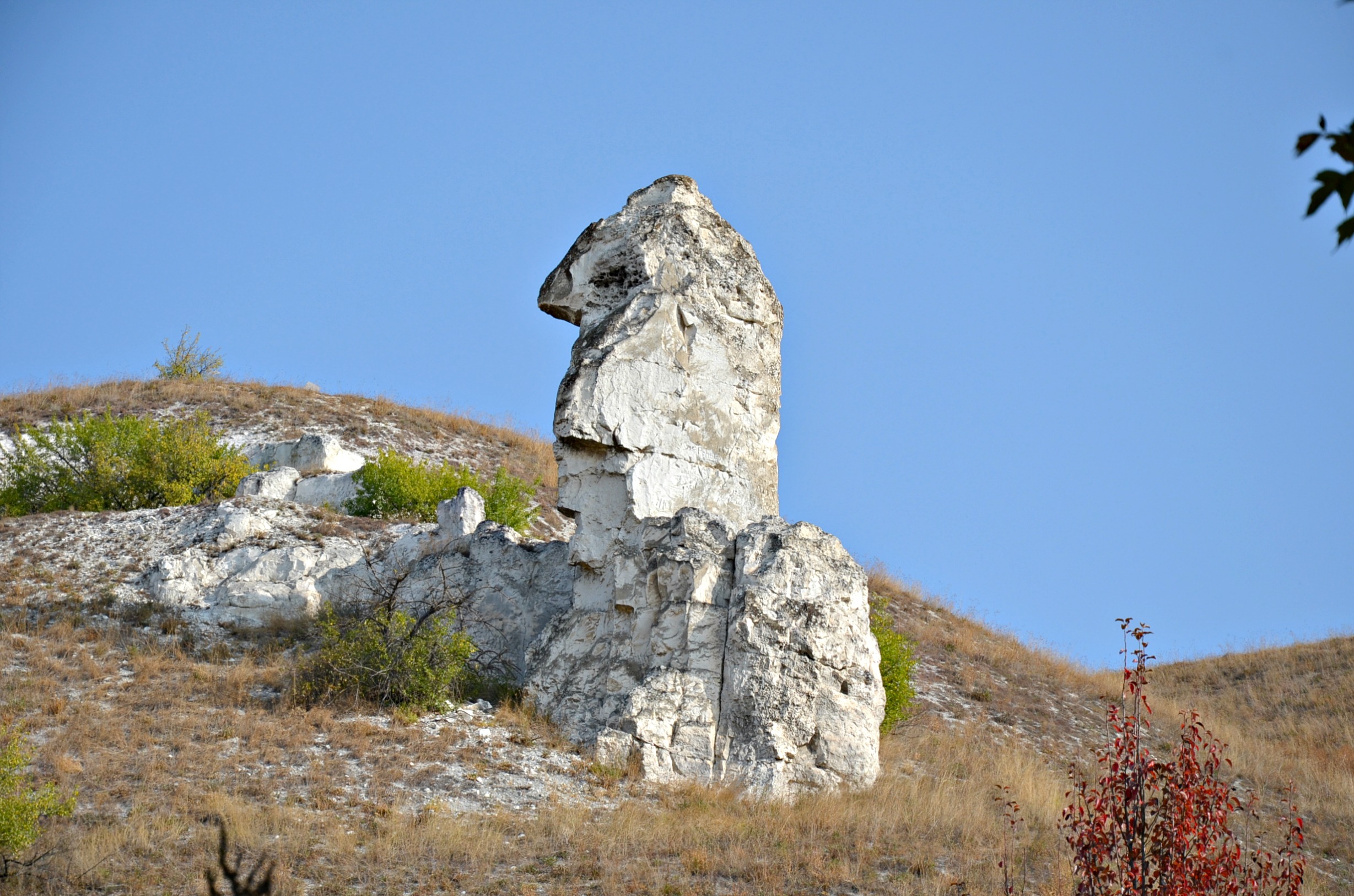 Где находится дивногорье