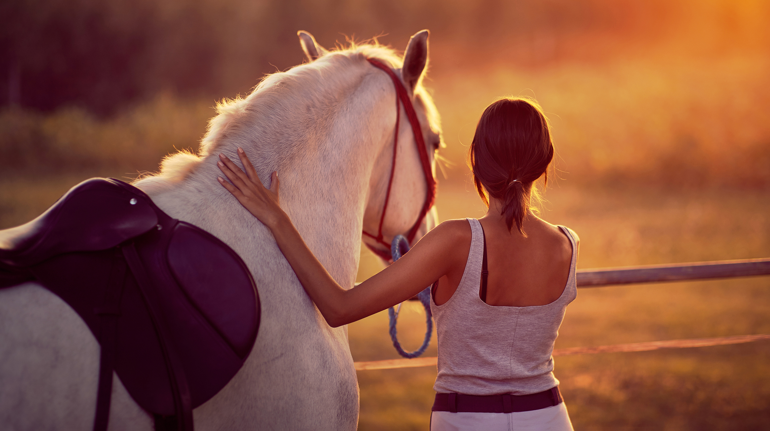 5 интересные фактов о лошадях лошади, лошадей, лошадь, животные, находки, особенно, видит, почти, лучше, своим, становясь, настоящим, мудрецом, символом, говорят, зверей, существ, мифических, накапливает, изображениями