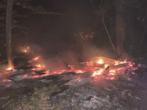 Лесной пожар у Геленджика тушили всю ночь