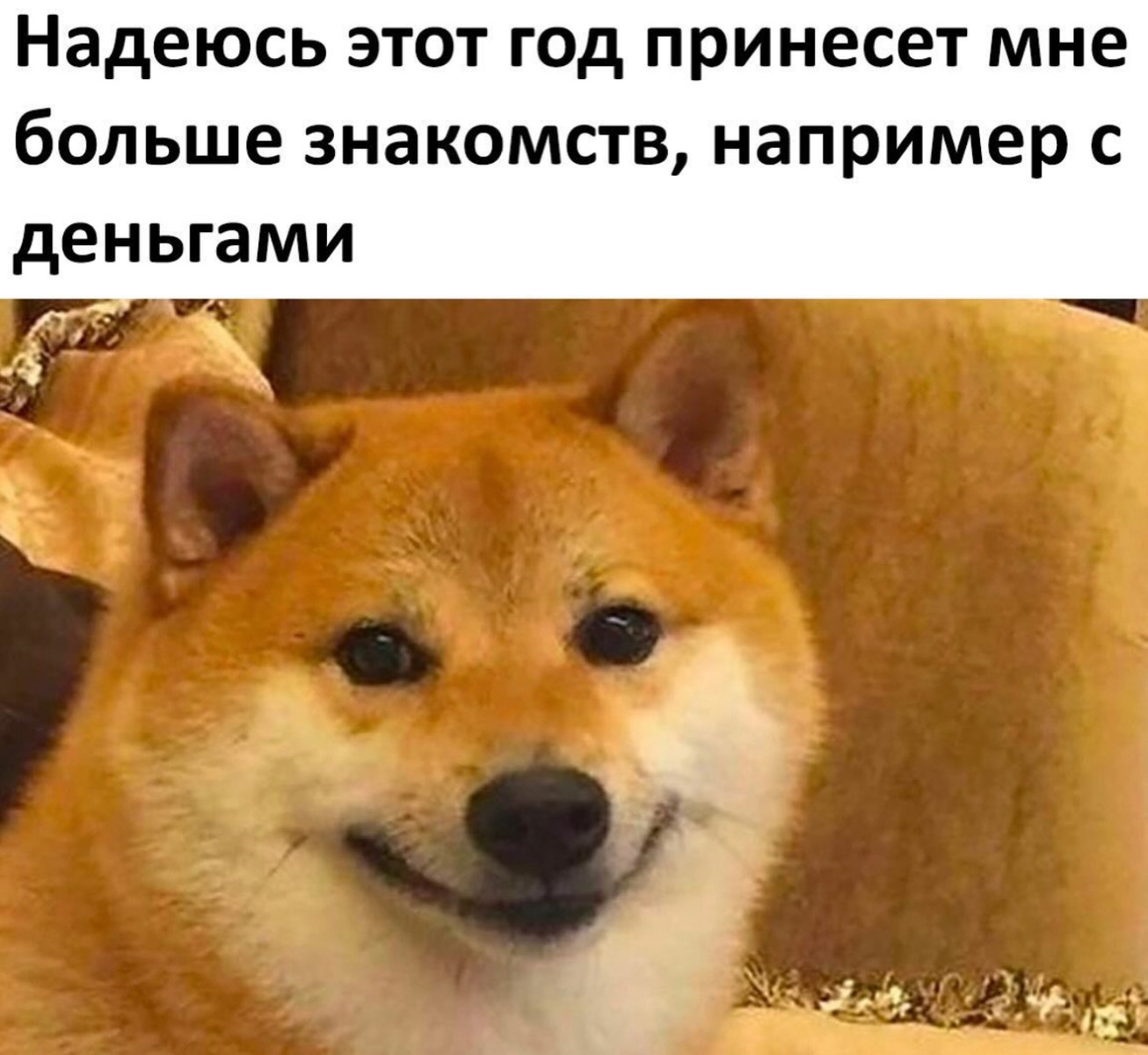 Свежие мемы, юмор за день 