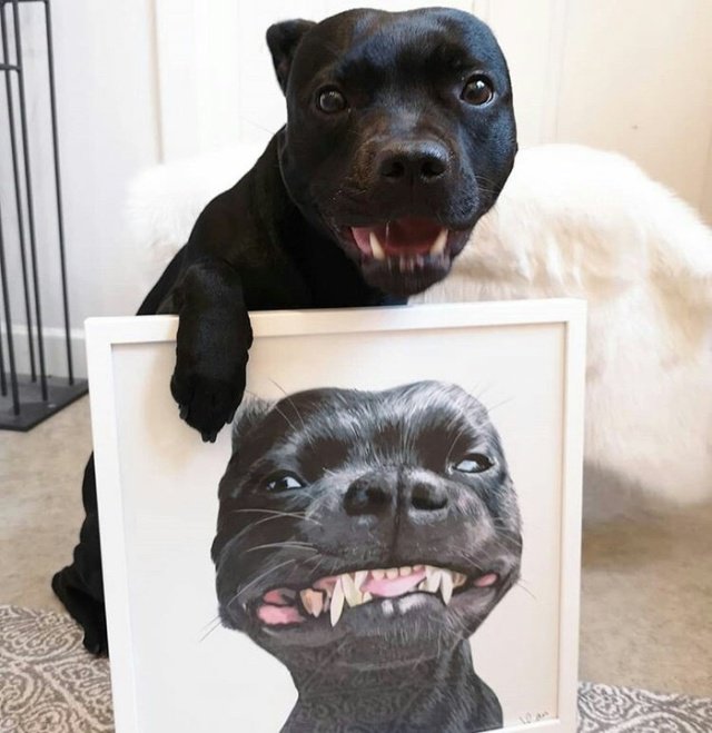 Фотоподборка четверга 