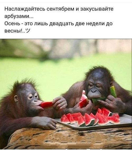 Ржачные до слез свежие картинки с надписями 