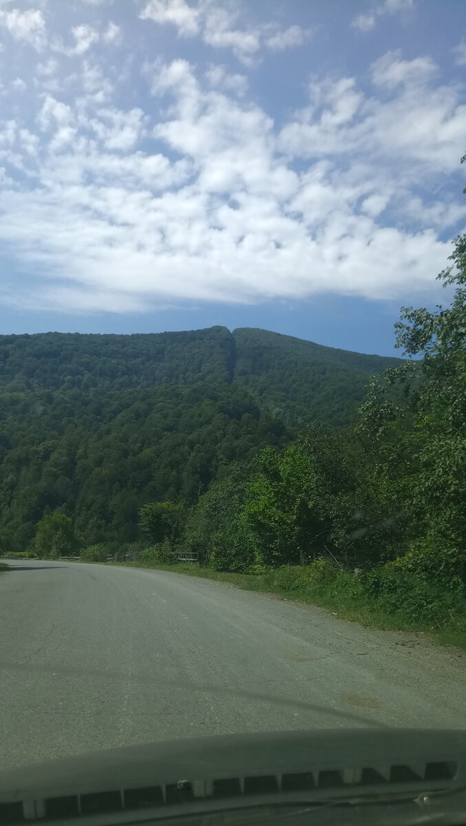 Украина уничтожает Карпаты