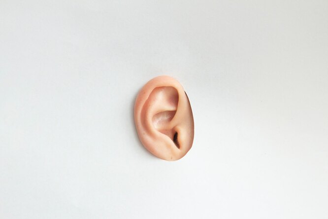 Как научиться шевелить ушами: очень простая инструкция