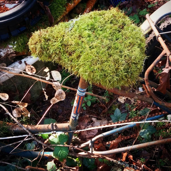 Фотоподборка четверга 