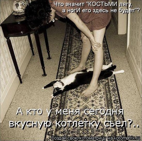 Лучшие котоматрицы за прошедшую неделю
