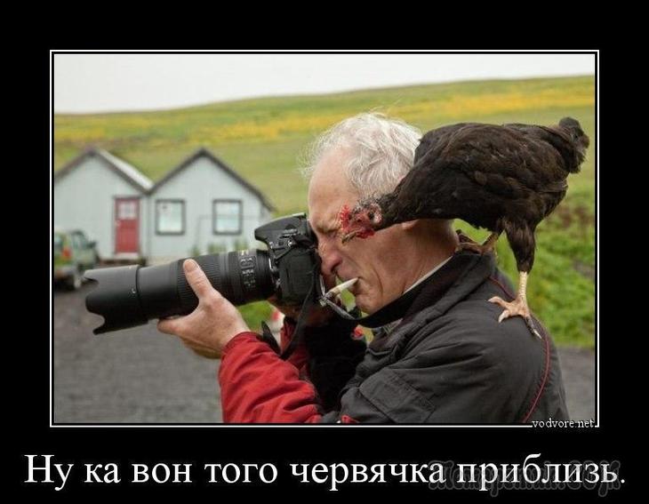 Смешные картинки про фотографов