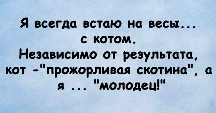 Юмористическая подборка, способная сотворить чудо с настроением 