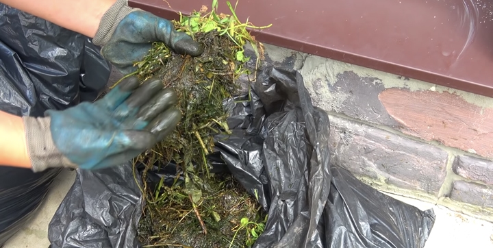 Специальный ферментированный чая в качестве удобрения Специальный ферментированный чая в качестве удобрения