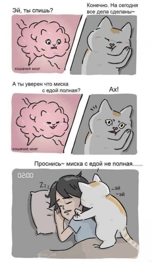 Лучшие шутки и мемы из Сети