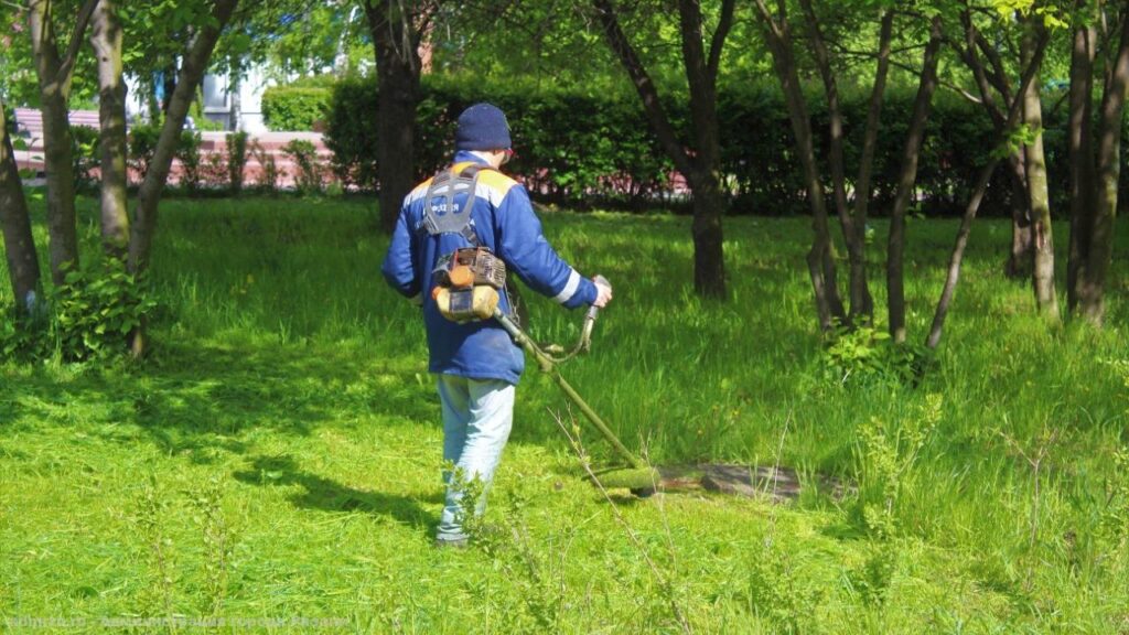 В Рязани продолжаются сезонные работы по благоустройству