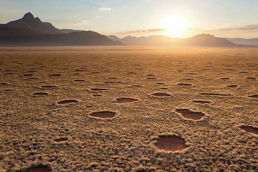 
Эти загадочные кольца оставляют на земле песчаные термиты. Обычно они появляются в местности с определённым типом растительности.
