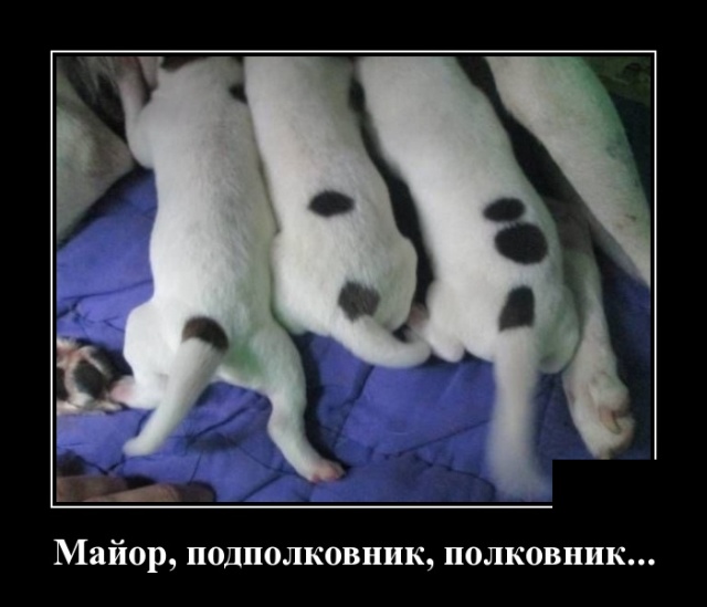 Прощайте людям всё, пусть подавятся вашим великодушием веселые картинки