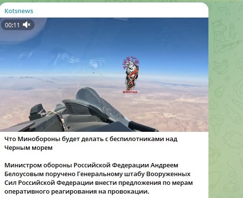    Фото: Скриншот Telegram/Kotsnews