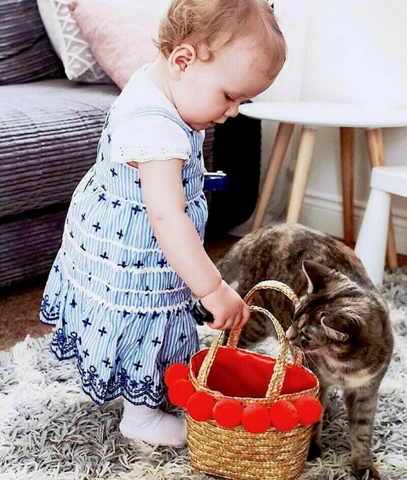 Как подружить кошку с ребенком - советы и рекомендации