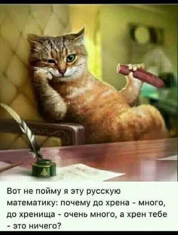 Будьте осторожны! Чтение может стать причиной развития мозга! 