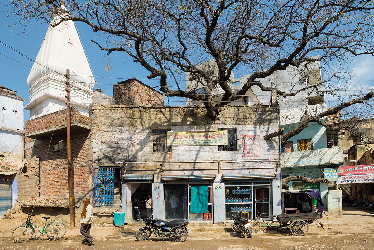 A neem tree poking through a shop in Varanasi, India, from <em&gtWise Trees</em&gt.