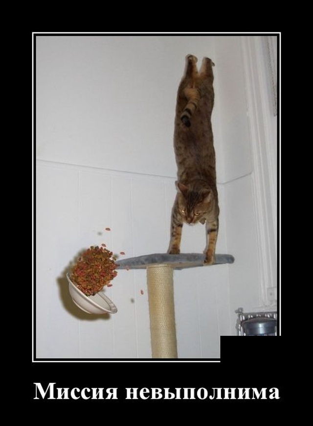 Забавные и веселые демотиваторы для хорошего вечернего настроения демотиваторы свежие,приколы,смешные демотиваторы,юмор