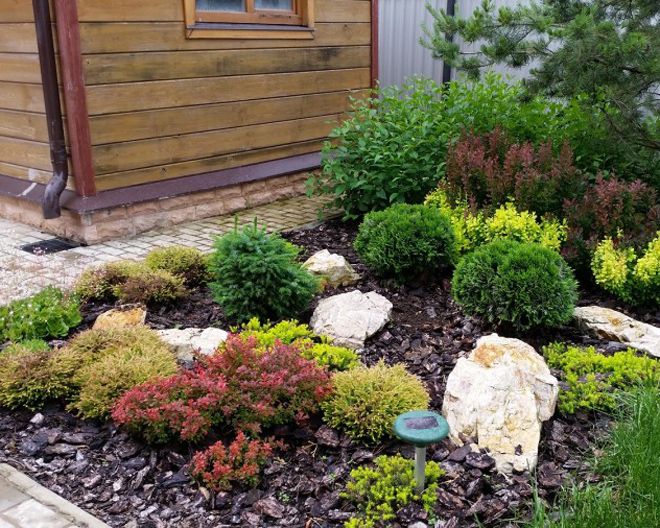 Рокарий – основные виды каменного сада и особенности каждого варианта ландшафтный дизайн,растения,рокарий