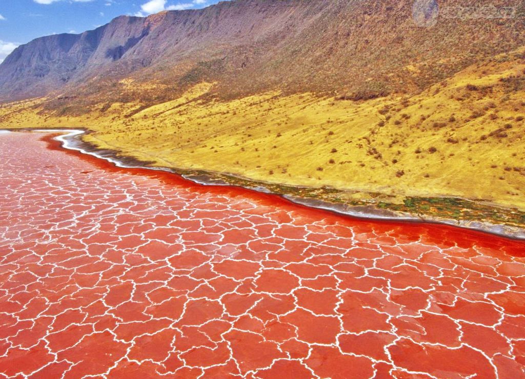 Красное озеро Натрон (Lake Natron)