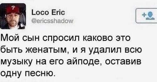 Очередная подборка картинок с подписями животные, картинки с подписями, подборка, позитив, юмор