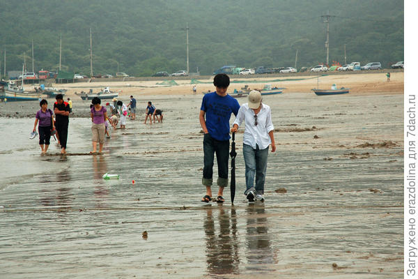 Морские прогулки в Корее море,пляж,путешествие,южная корея