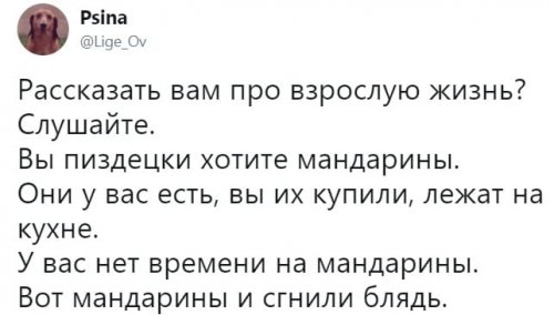 Хорошее настроение в прикольных картинках Хорошее настроение в прикольных картинках