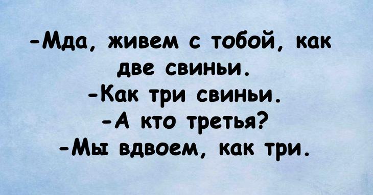 Юмористическая подборка, способная сотворить чудо с настроением 