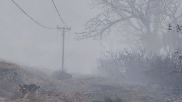В Fallout 4 появился туман из «Мглы» и открылось четвертое измерение Fallout, Hills, Whispering, модификации, фильме, Хилл», «Сайлент, добавляет, монстрами, отметить, туман, измерение, также, будут, измерении, собакимутанты, игроков, различных, добавило, обновление