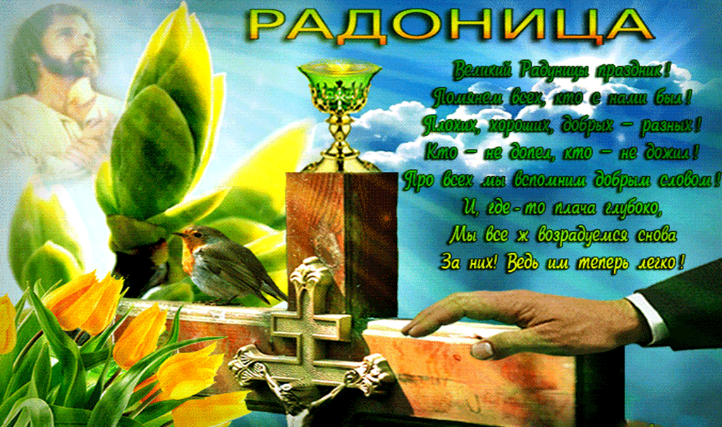 Радоница картинки, кот кошкой
