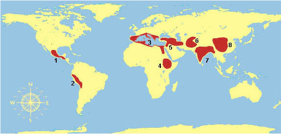 Очаги древнего земледелия (по данным Н.Вавилова): 1 – Южномексиканский очаг; 2 – Перуанский очаг; 3 – Средиземноморский очаг; 4 – Абиссинский очаг; 5 – Переднеазиатский очаг; 6 – Среднеазиатский очаг; 7 – Индийский очаг; 8 – Китайский очаг