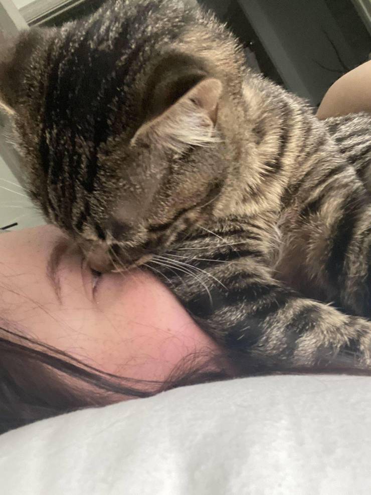 Подборка прикольных картинок Подборка прикольных картинок смешные картинки,фото-приколы,юмор