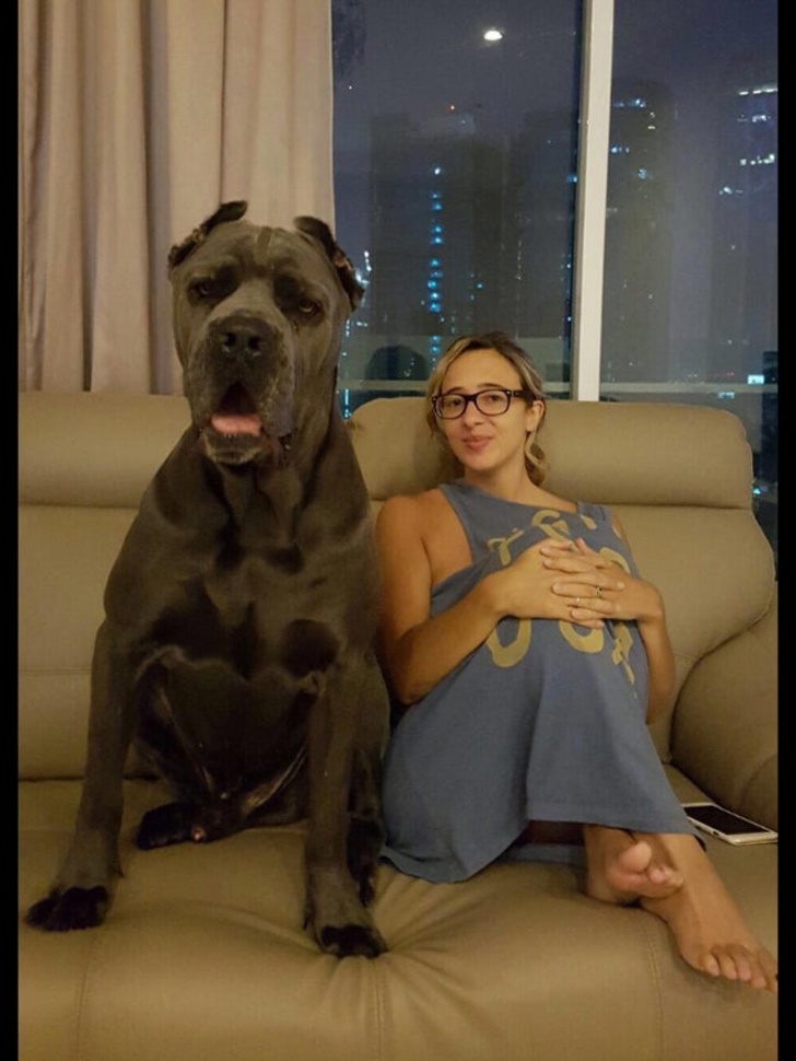 Сравнения, которые потрясли мир - Лучшие фото! интересное,фотография