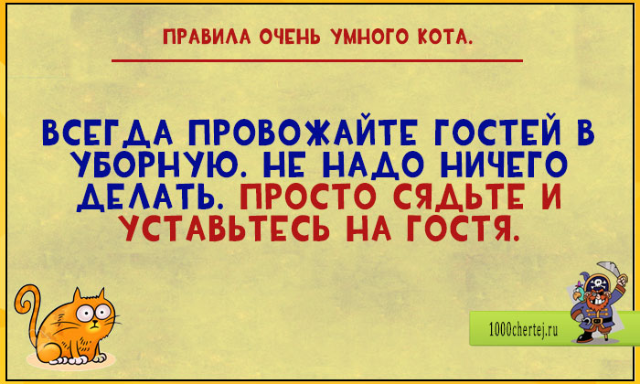 Цитаты от очень умного кота веселые картинки