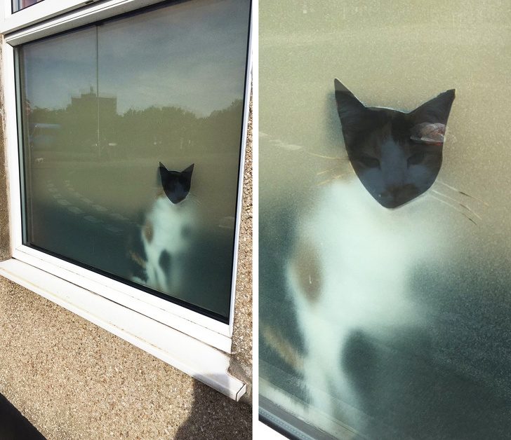 15 примеров, когда смекалка не оставляет ни единого шанса проблемам жизненное,смешное