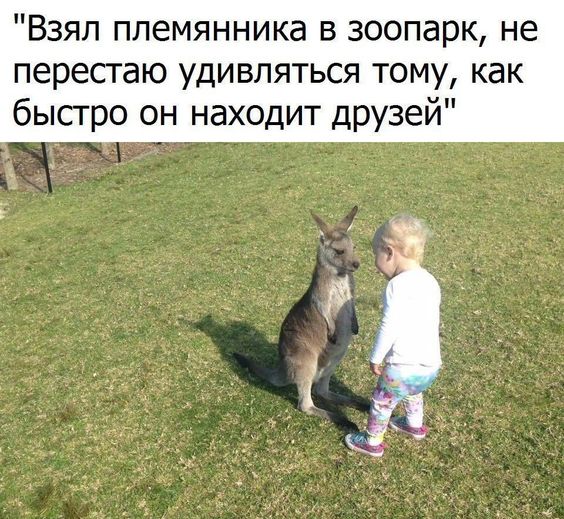 Ржачные до слез свежие картинки с надписями 