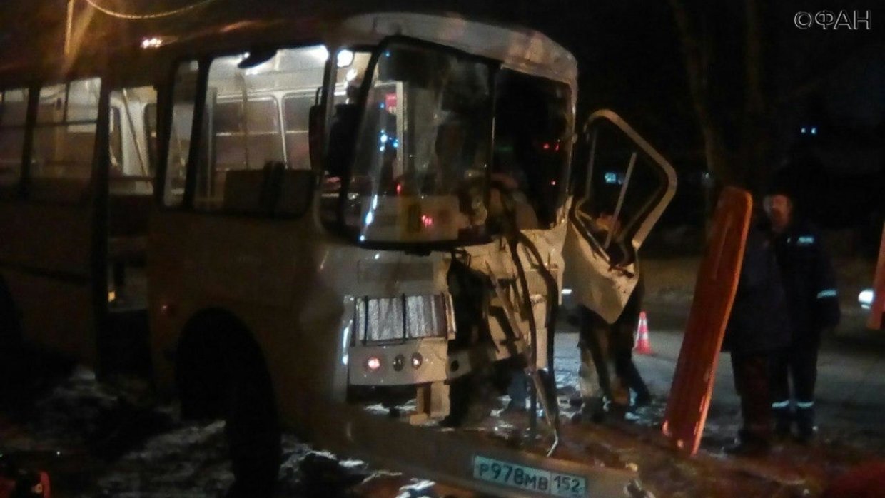 Водитель автобуса потерял сознание за рулем и врезался в дерево в Нижегородской области: ФАН публикует фото