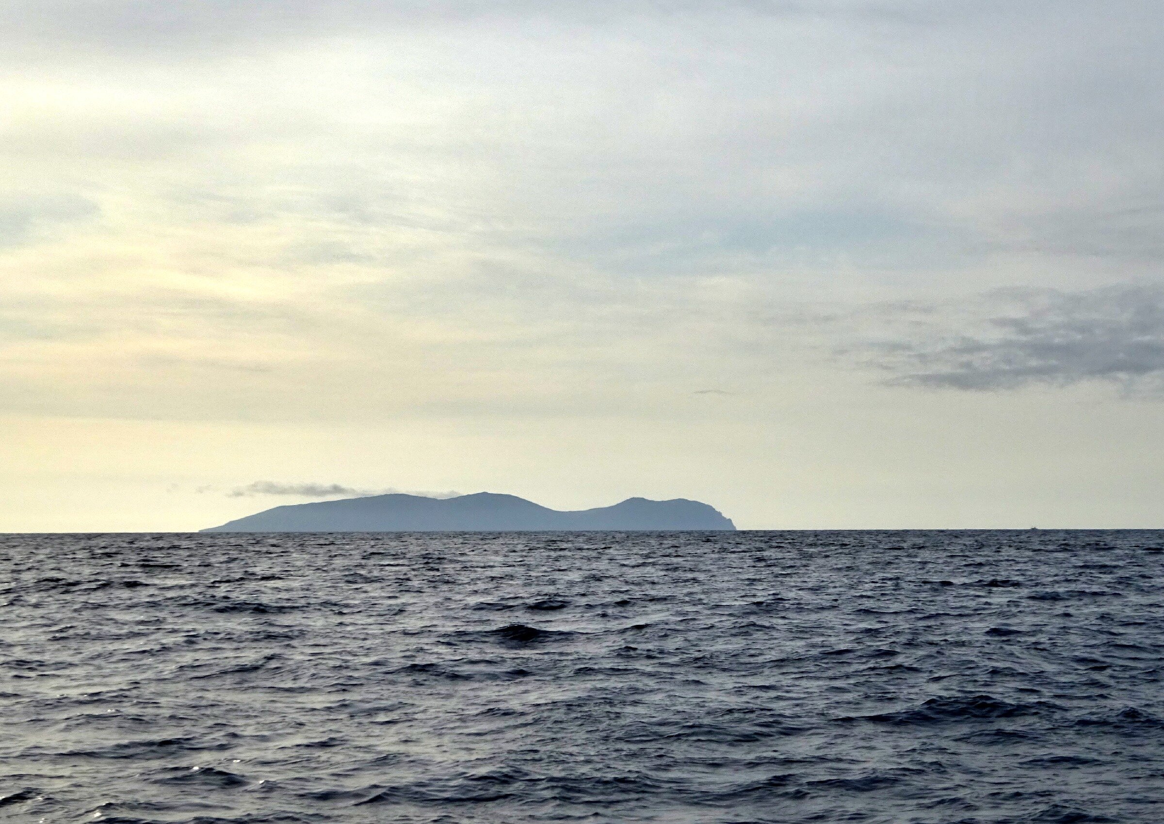 Путешествие к тюленям Ларги. Камни Унковского Путешествие к тюленям Ларги. Камни Унковского