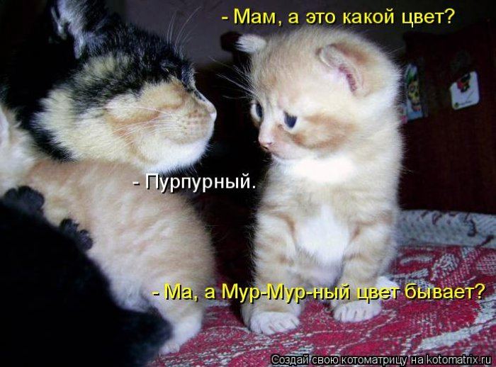 Мысли вслух :)
