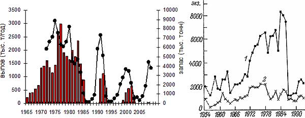 б) Мойва в Баренцевом море Обозначения. «Слева — запас (линия) и вылов (столбики) мойвы в Баренцевом море в 1965–2009 гг. (по данным с сайта Системы мониторинга рыбопромысловых ресурсов Продовольственной и сельскохозяйственной организации ООН — ФАО). Справа — динамика численности тонкоклювых (1) и толстоклювых (2) кайр на базарах острова Харлов. Рис. из: Краснов и др., 1995»