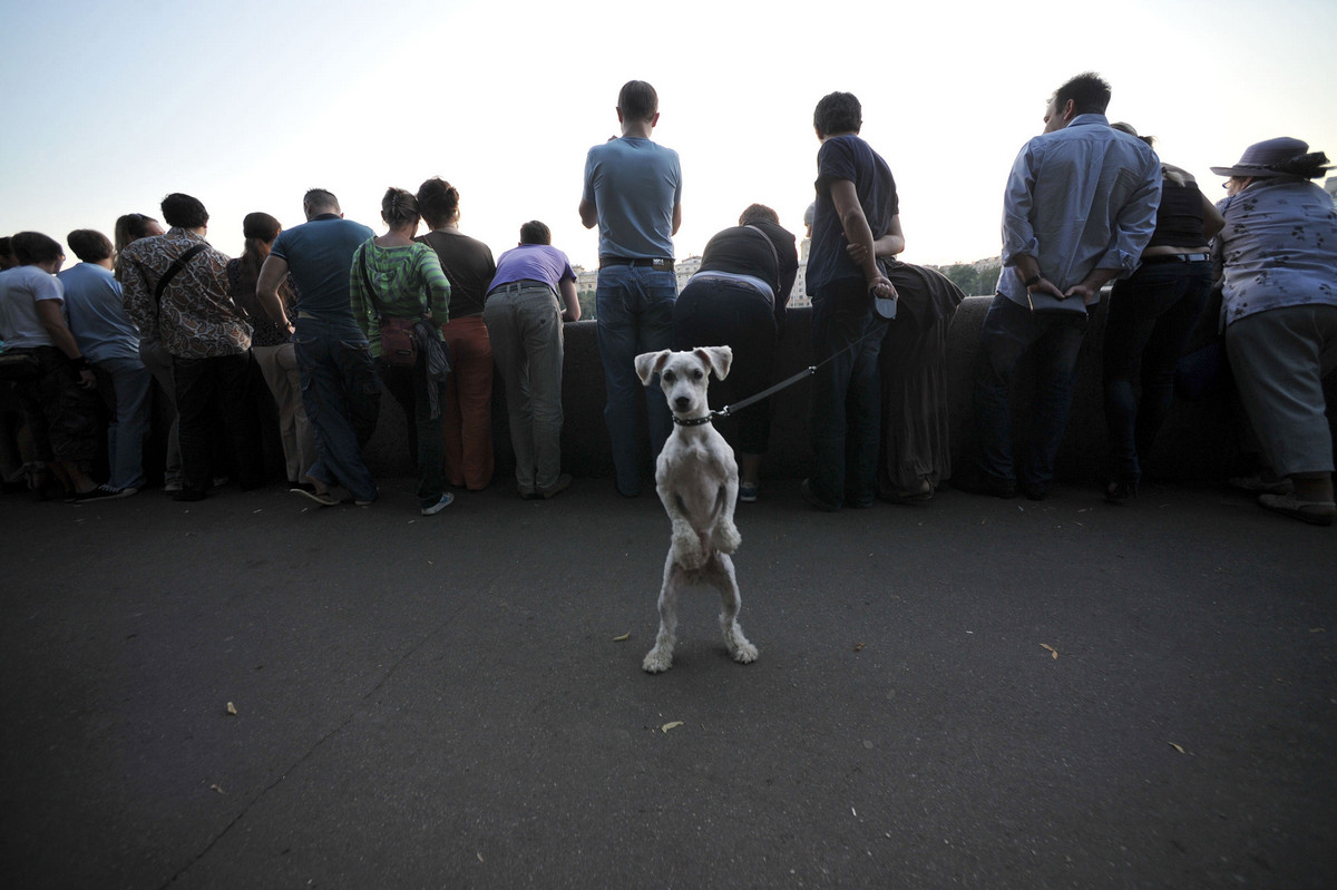 Просто Москва Артёма Житенёва Просто Москва Артёма Житенёва