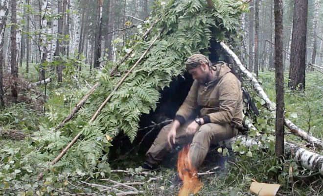 Лесник остался спать в тайге и включил камеру: ночью пришел медведь Культура